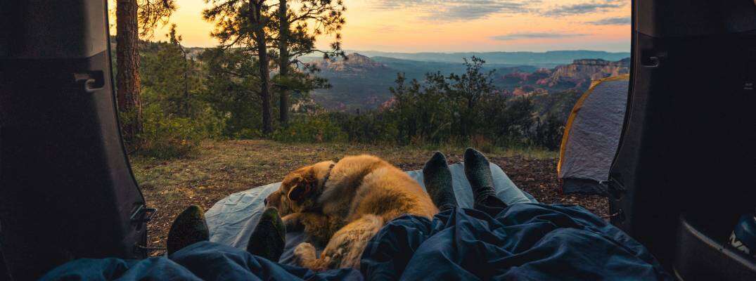 Unknown people and dog laying outdoors with the trunk of vehicle open as sun is setting. 